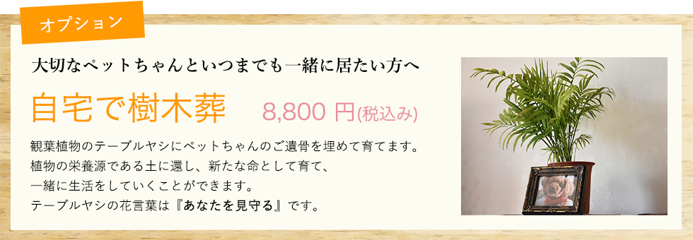 オプション大切なペットちゃんといつまでも一緒に居たい方へ 自宅で樹木葬8,800 円(税込み)観葉植物のテーブルヤシにペットちゃんのご遺骨を埋めて育てます。植物の栄養源である土に還し、新たな命として育て、一緒に生活をしていくことができます。テーブルヤシの花言葉は『あなたを見守る』です。